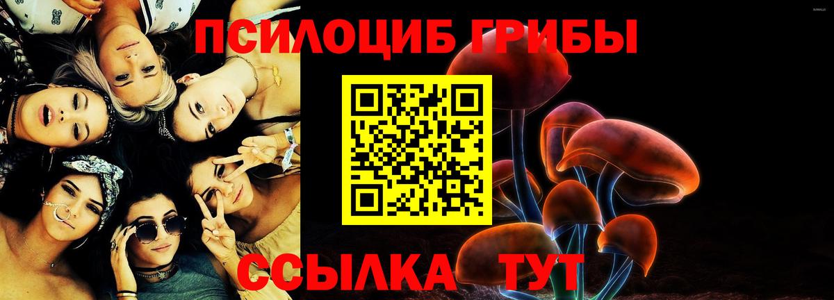 Мурманск  Галлюциногенные грибы GOLDEN TEACHER  Псилоцибиновые грибы ЛСД  как найти закладки  Вход с VPN 